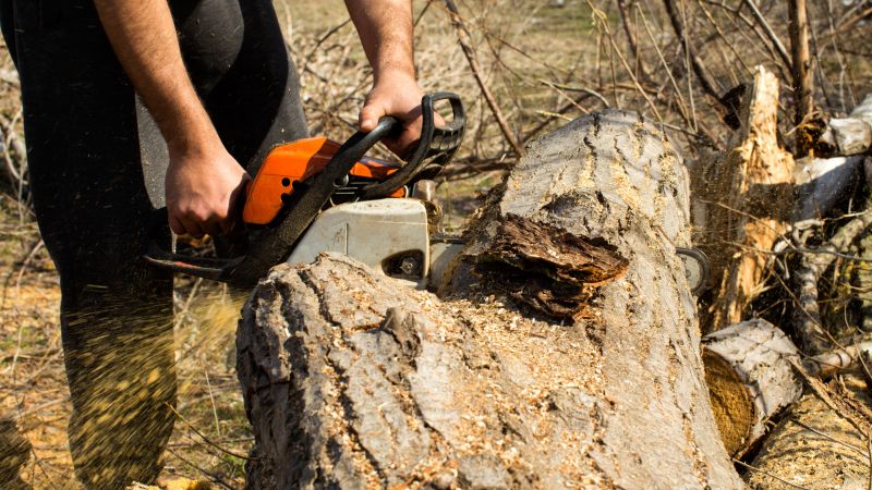Cedar Tree Removal Equipment